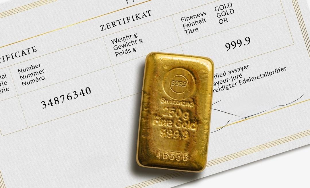 WhatsApp Image 2025-08-12 at 7.19.40 AM